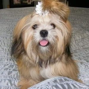 Meet your Posher, Debra